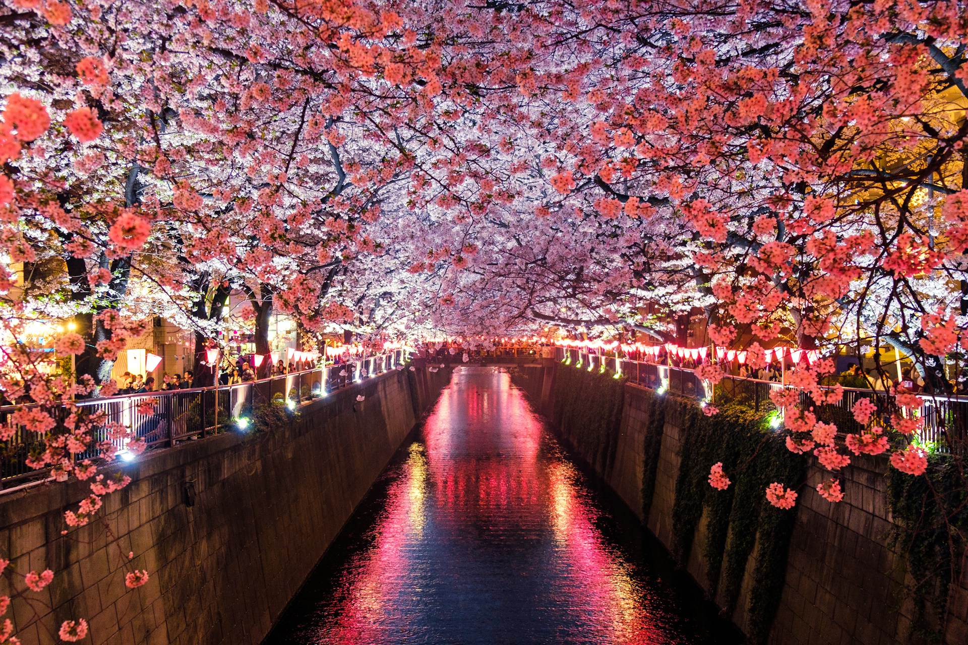 les régions du japon pour son voyage