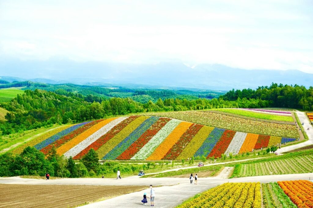 Région de Hokkaido au Japon