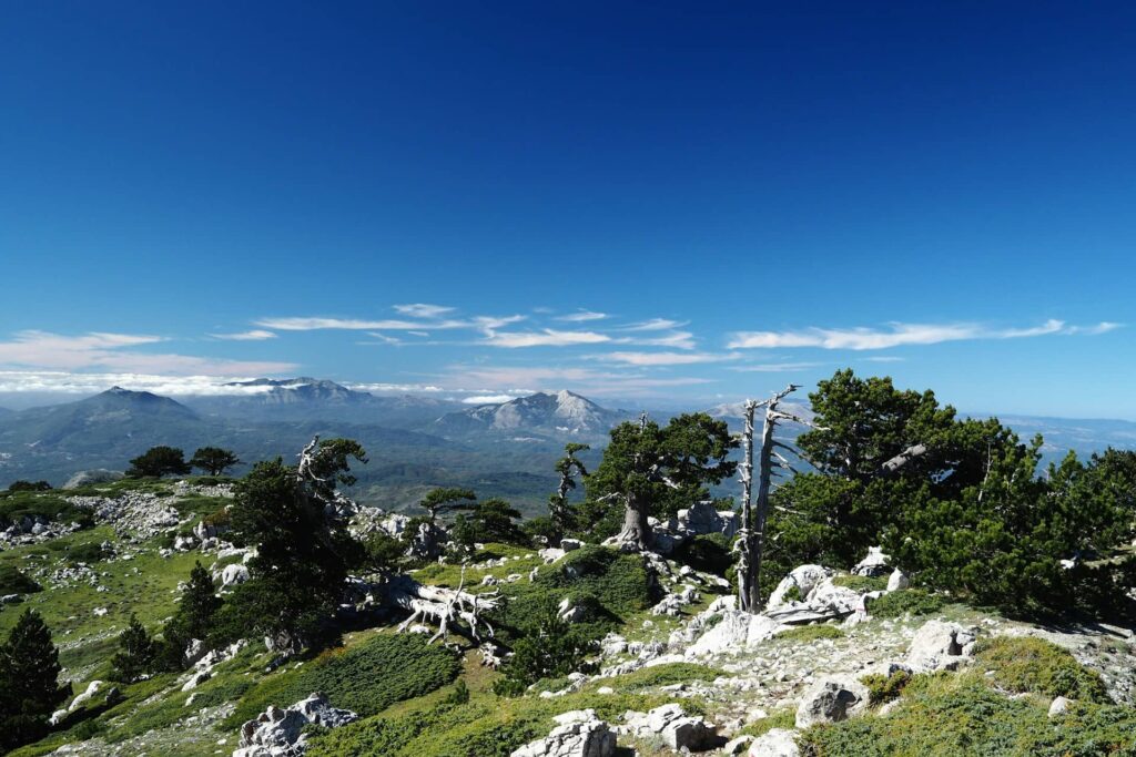 Parc national du Pollino italie